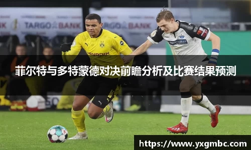 菲尔特与多特蒙德对决前瞻分析及比赛结果预测
